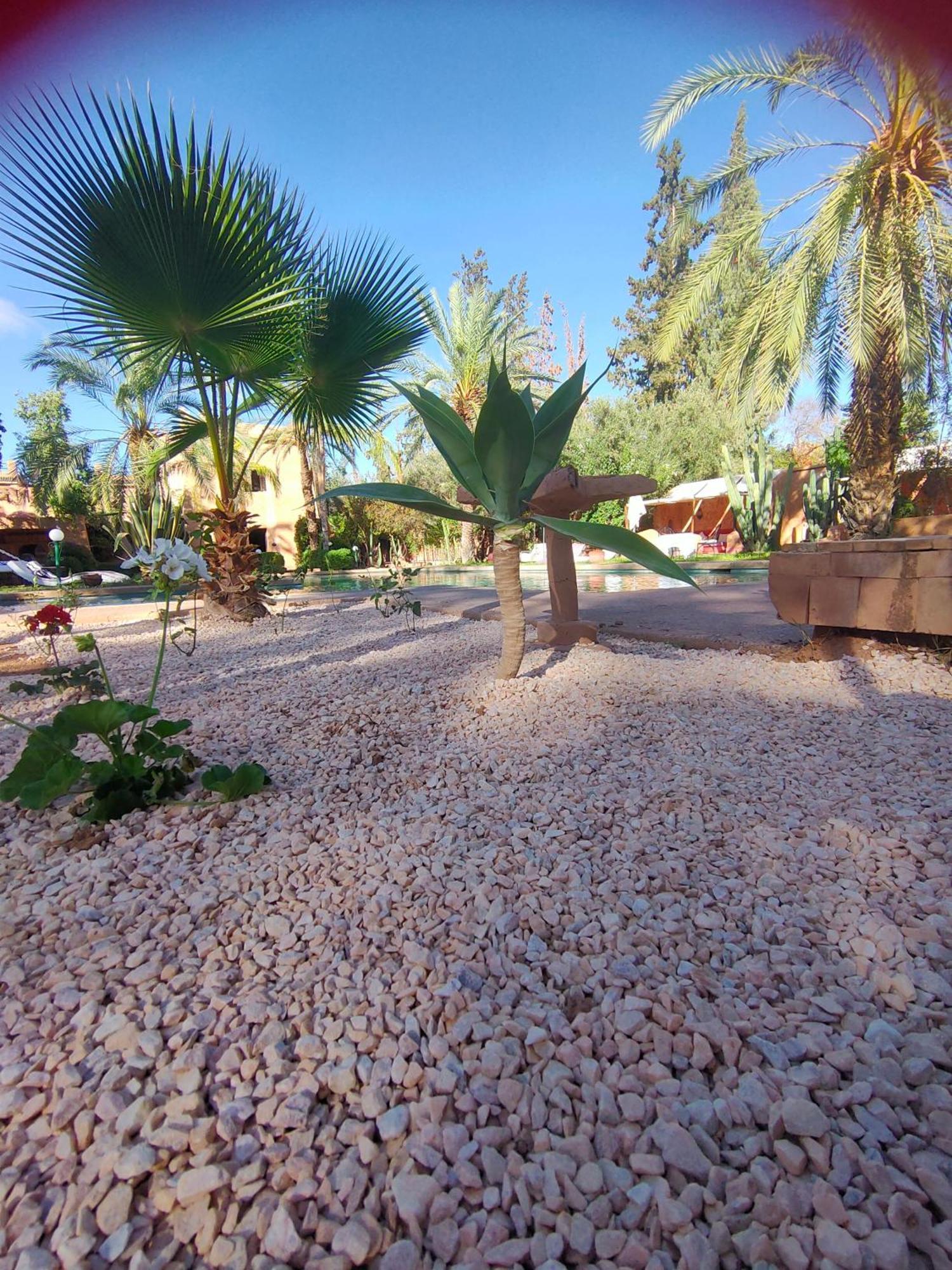 Riad Sheherazade Marrakech مراكش الغرفة الصورة